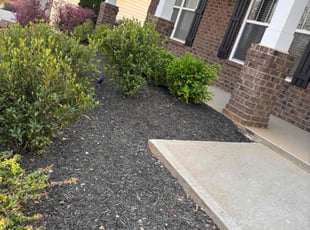 Weeding by Naji Robinson for William B. in Greenville County, SC