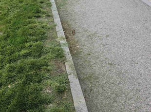 Zau S.'s Lawn Service service result