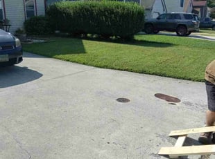 Bush Trimming by Debbie Carper for Janis S. in Virginia Beach, VA