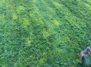 Ken T.'s Lawn Maintenance service result