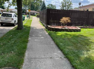 Rowell G.'s Yard Cutting service result