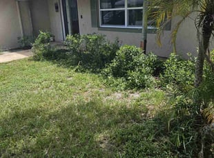 Bush Trimming by John Plamann for Rachel F. in Orlando, FL