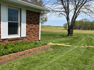Hai L.'s Lawn Mowing service result