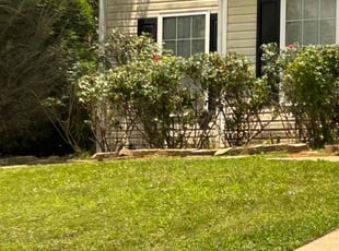 Bush Trimming by Jason Hembree for Fucia A. in Douglasville, GA