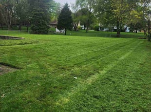 Alexandra P.'s Lawn Care service result