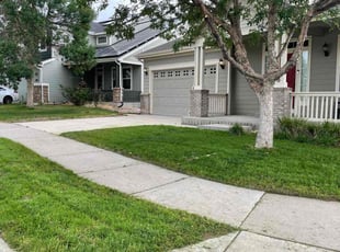 Anita W.'s Lawn Service service result