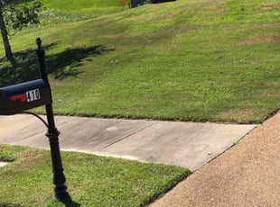 Tawanna B.'s Lawn Mowing service result