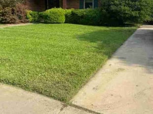 JC A.'s Grass Cutting service result