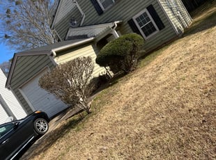 Bush Trimming by Jekelia Ezzard for Keyanna S. in Lithonia, GA