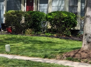 Bush Trimming by Jeremy Oliver for Donna G. in Ellicott City, MD