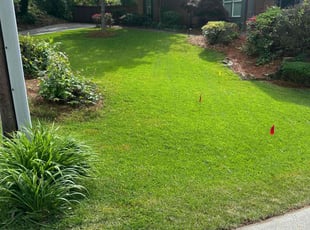 Andre M.'s Lawn Service service result
