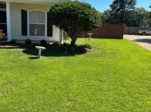 Marcus M.'s Lawn Mowing Service service result