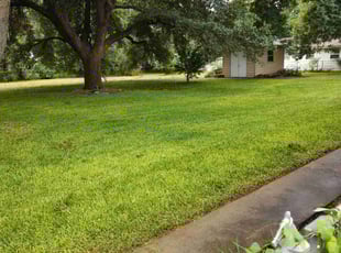 Cassidy B.'s Lawn Mowing service result