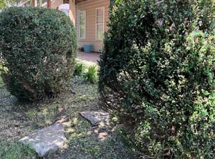 Bush Trimming by Alesandre Duarte for Javed R. in Leesburg, VA