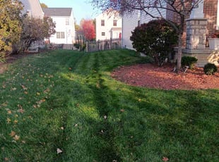 Craig S.'s Lawn Care service result