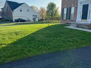 Rose G.'s Lawn Mowing service result