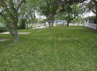Ellen W.'s Lawn Mowing service result