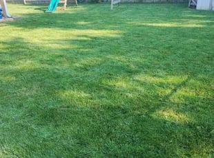 Sean K.'s Lawn Service service result