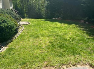 Clarence T.'s Lawn Care service result