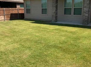 Jillian C.'s Grass Cutting service result