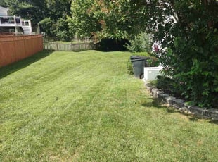 KYLE M.'s Lawn Mowing Service service result