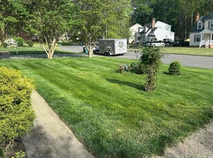 Sally M.'s Lawn Care service result