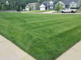 Steven B.'s Lawn Mowing Service service result