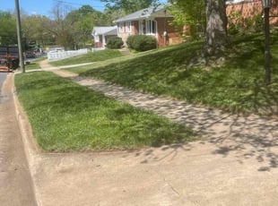 Mitchell M.'s Grass Cutting service result