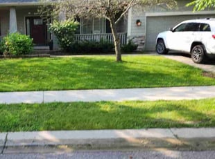 Carlos R.'s Lawn Maintenance service result