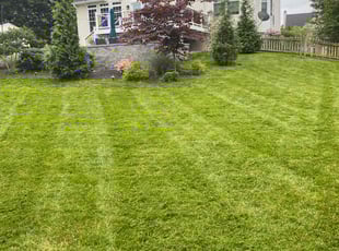 Aaron R.'s Lawn Mowing service result