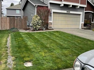 Kristina W.'s Lawn Service service result