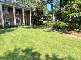 ReNeβe T.'s Lawn Mowing service result