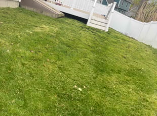 Takewa B.'s Lawn Mowing service result