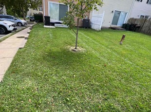 India I.'s Lawn Mowing service result