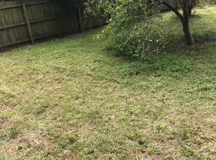Cleanups by Liam Dooley for Sandra I. in Mauldin, SC