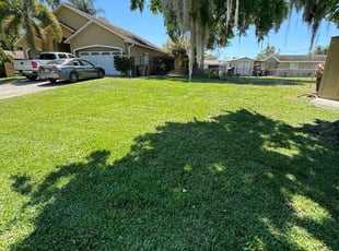 Randi M.'s Lawn Mowing service result