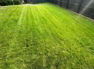Robert R.'s Lawn Service service result