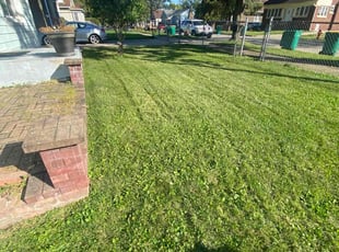 Jonathan H.'s Lawn Mowing service result