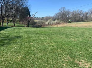 Kevin B.'s Yard Cutting service result