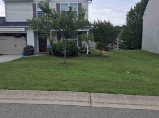 Cameron C.'s Lawn Care service result