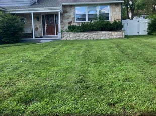 Adrian W.'s Yard Cutting service result