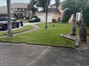 Lillie S.'s Lawn Mowing Service service result