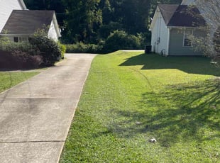 Latonya A.'s Yard Cutting service result