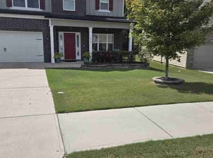 Angel C.'s Grass Cutting service result
