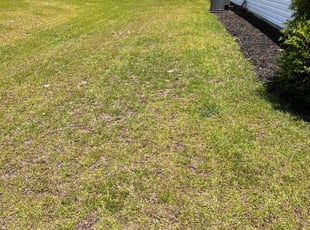 Weeding by Charles Gadsden for Altonio R. in Gaston, SC