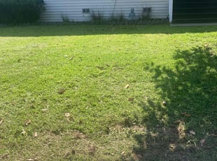 Destiny W.'s Lawn Care service result