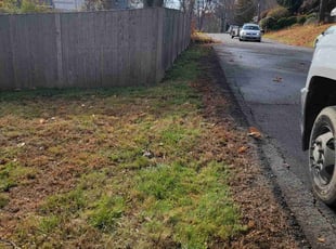 Leaf Removal by Shane Chabot for Michael B. in Boylston, MA