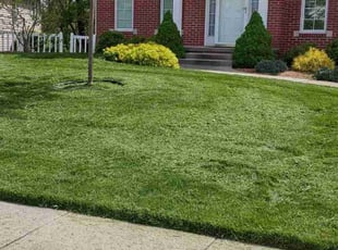 Ron L.'s Lawn Mowing service result