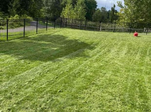 Amanda D.'s Lawn Service service result