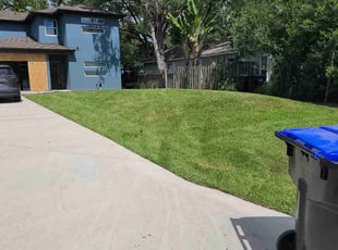 Alicia S.'s Lawn Mowing service result